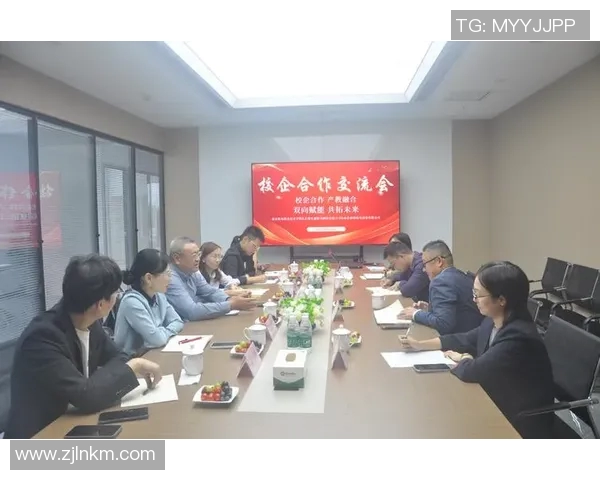 以赞助模式为核心探索企业合作新路径推动品牌共赢与市场拓展